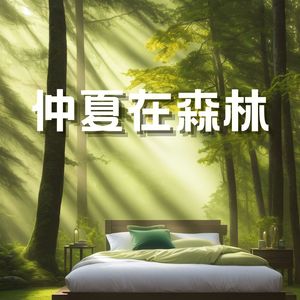 仲夏在森林：深度睡眠专用的自然声音，鸟鸣叫、森林之音，白噪音