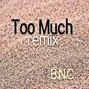 Too Much (Remix)