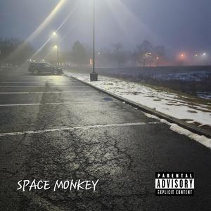 Space Monkey (Explicit)