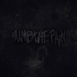 Numb The Pain (feat. $a13m Sh4wtyy & Santino Nox) [Explicit]