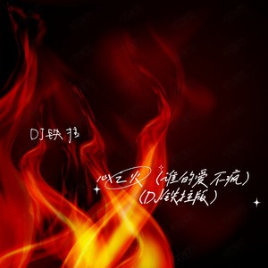 心之火(谁的爱不疯)-DJ铁拄