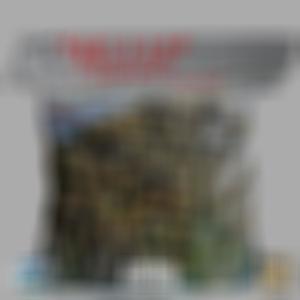 B.A.G (feat. Goombz) (Explicit)