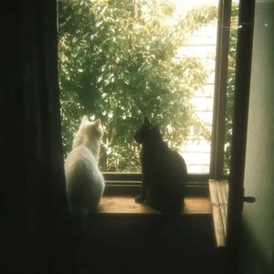 Love Is