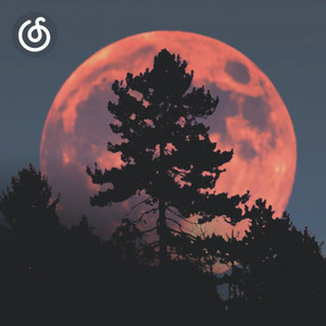 毛家超来对歌 (云南山歌)