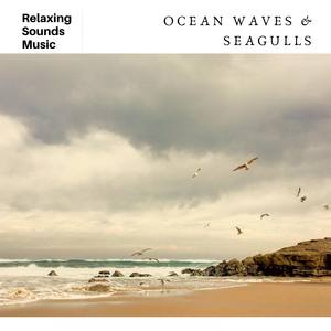 Soothing Ocean Waves & Seagulls