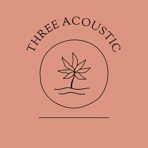 3 (Acoustic Version)