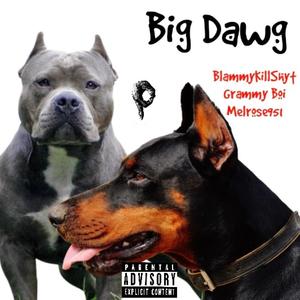 Big Dawg (feat. BlammyKillShyt, Grammy Boi & Melrose951) (Explicit)