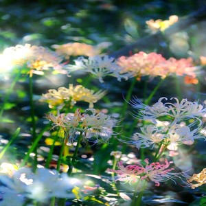 那么就一起来吧- (DJ弹鼓板)