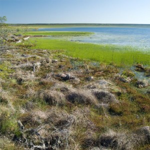 Nomonde - Sodom and Gomora