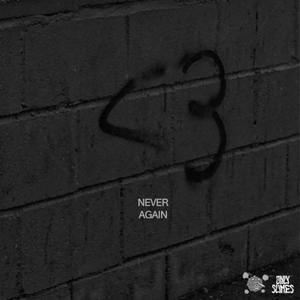 Never Again (feat. Baby Waver) [Explicit]