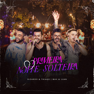 Primeira Noite Solteira