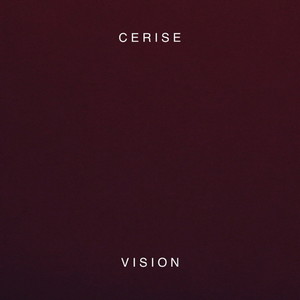 Vision