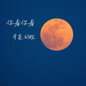 你看你看月亮的脸 (我们已走得太远)-刘小英