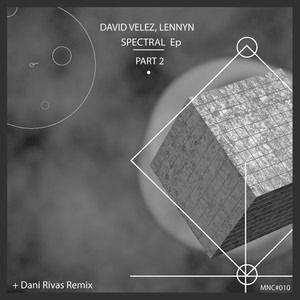 Moon Swing (Dani Rivas Remix)