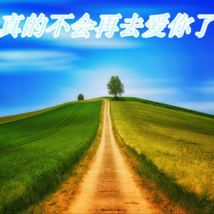 追风者 (DJ版)