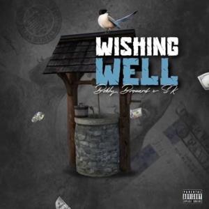 Wishing well (feat. Bobbybroward) [Explicit]