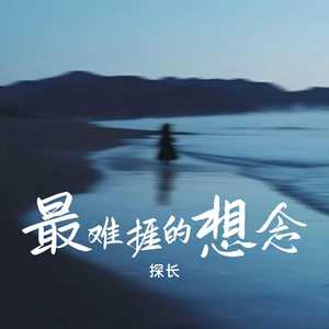 探长 - 最难捱的想念[MP3_LRC]_MP3下载
