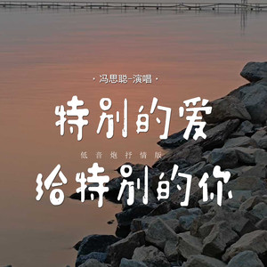 特别的爱给特别的你 (低音炮抒情版)
