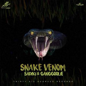 Snake Venom