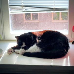 Eyes On Me (feat. Skelator GOAT) (Explicit)