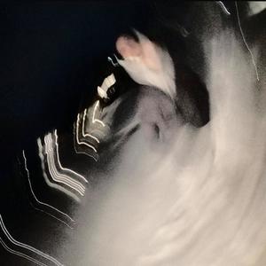 Disconnected (Explicit)