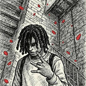 3RD CORNEA (Explicit)
