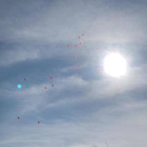 Chamber Of Love (Explicit)