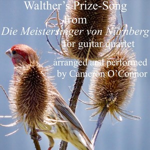 Die Meistersinger Von Nürnberg - Prize Song (Arr. for Guitar Quartet)