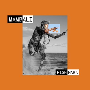 Fish Hawk