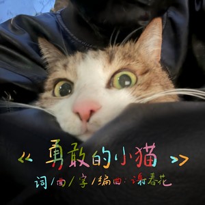 勇敢的小猫