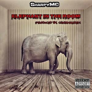 Elephant In The Room (feat. Charmandem) [Explicit]