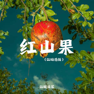红山果 (DJ动感版)