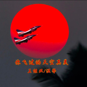 你飞过的天空真美