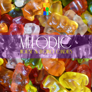 Melodic House & Techno Candies, Vol. 6