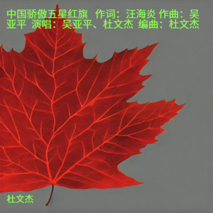中国骄傲五星红旗 (伴奏)