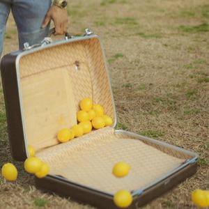 Lemon Corset (Explicit)