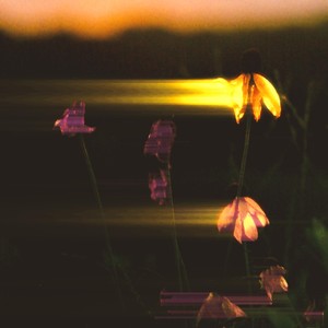 Petrichor(feat. Drew Morton)