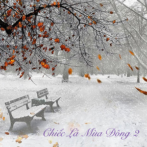 Tình Nồng (feat. Cẩm Ly)