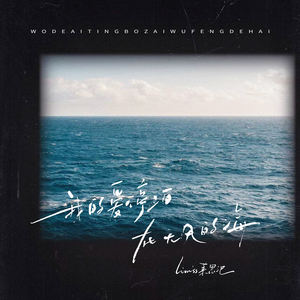 我的爱停泊在无风的海