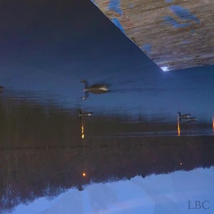 Levee Banks Collective, Vol. 1 (Explicit)