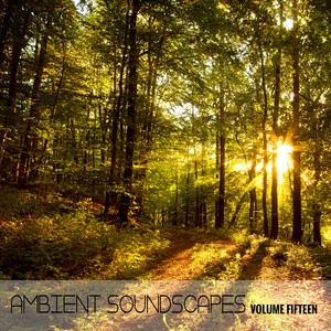 Ambient SoundScapes Vol, 15