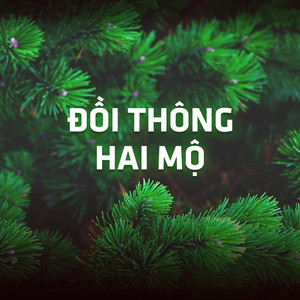 Hoa Mười Giờ