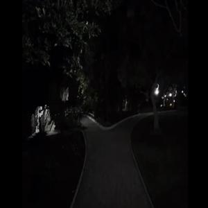 Cant Come Down (feat. Murkuri) (Explicit)