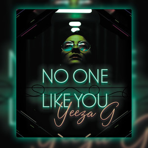 No One Like You