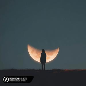 Moonlight Secrets
