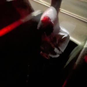 2 guns (feat. Kharisteppn) (Explicit)