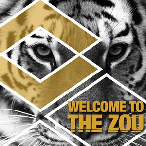 Welcome to the Zou