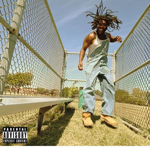 Flat Earth Theory (Explicit)