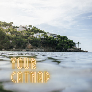 Your Catnap