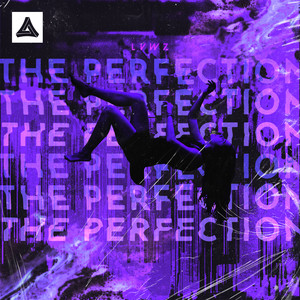 The Perfection (Original Mix)